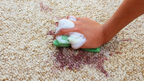 Damaged Carpet Flooring from Spills and Stains